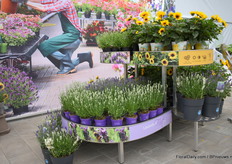 De tafel zoals je deze bij de tuincentra terug kunt vinden.